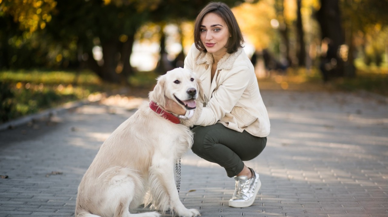 A young woman crouching beside her Golden Retriever on a park pathway in autumn, representing responsible female dog ownership and the importance of spaying and reproductive health care for dogs.