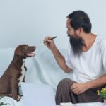 A bearded Indian man sitting on a couch with a brown Labrador puppy, engaged in a playful interaction while working on a laptop, symbolizing the passion-driven founder mindset behind India's growing pet care industry.