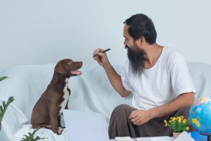 A bearded Indian man sitting on a couch with a brown Labrador puppy, engaged in a playful interaction while working on a laptop, symbolizing the passion-driven founder mindset behind India's growing pet care industry.