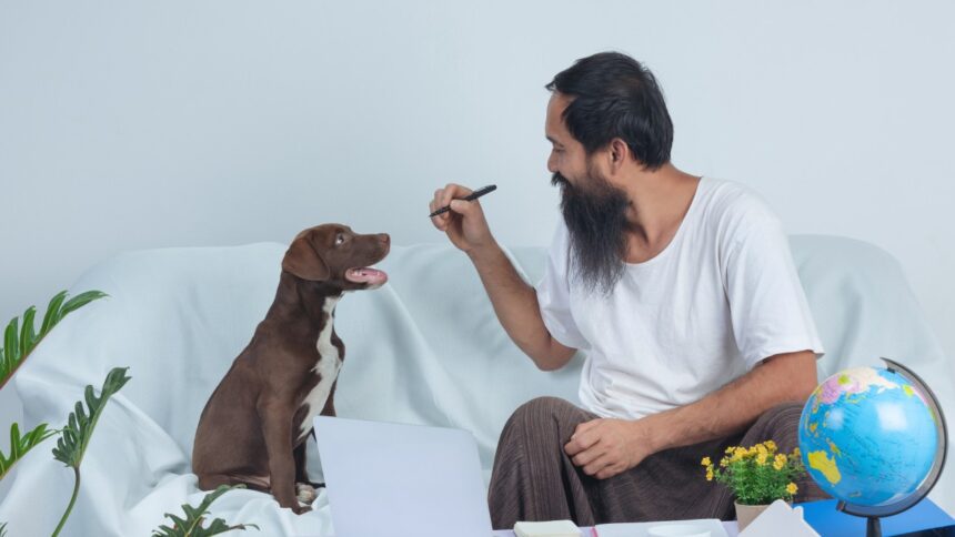 A bearded Indian man sitting on a couch with a brown Labrador puppy, engaged in a playful interaction while working on a laptop, symbolizing the passion-driven founder mindset behind India's growing pet care industry.