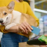 Pet Prices Are Shifting Again: Inflation and Energy Costs Create Uneven Trends Across the Pet Industry
