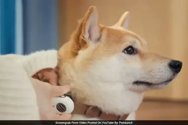 Can AI Really Read Your Pet’s Mind? New ‘Pet Translator’ Device Creates Massive Buzz Online