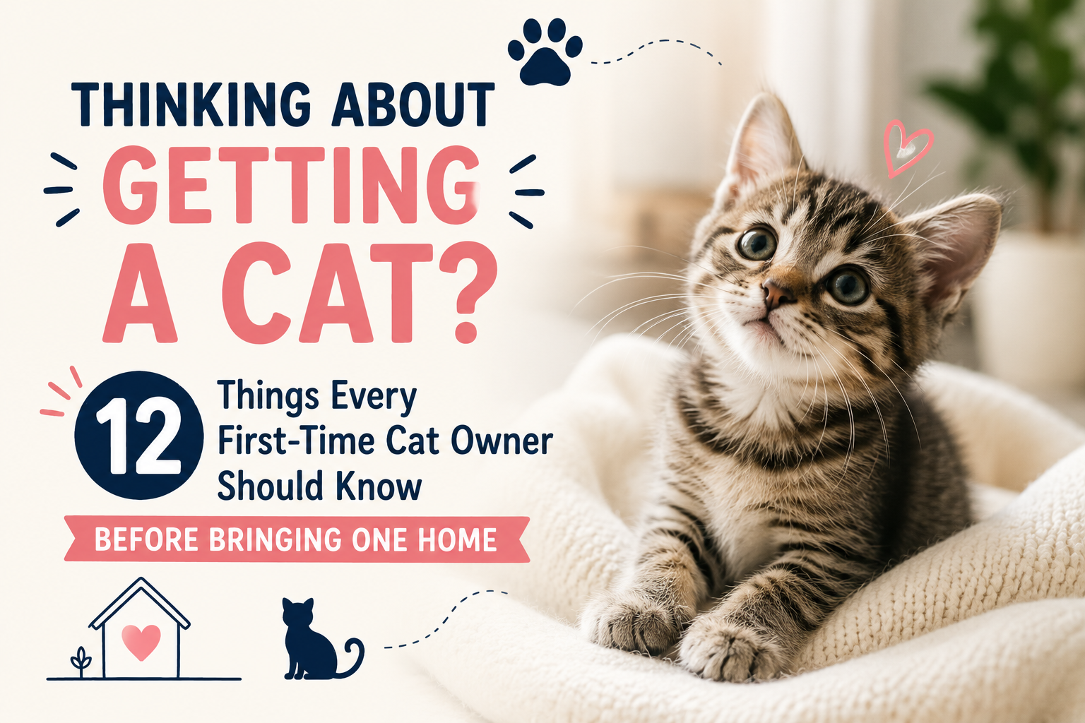 Thinking About Getting a Cat? 12 Things Every First-Time Cat Owner Should Know Before Bringing One Home