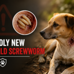 Deadly New World Screwworm Threat Raises Alarm for Pet Owners: How to Keep Outdoor Pets Safe