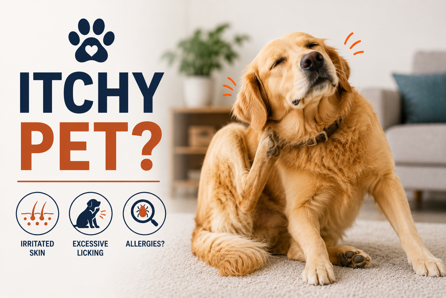 Is Your Pet Constantly Itching? Here's How to Tell If Allergies Could Be the Real Cause