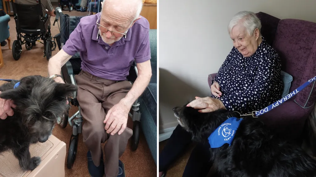 From Abandoned and Injured to Healing Others: Rescue Dog Clement Brings Comfort and Joy to Care Home Residents