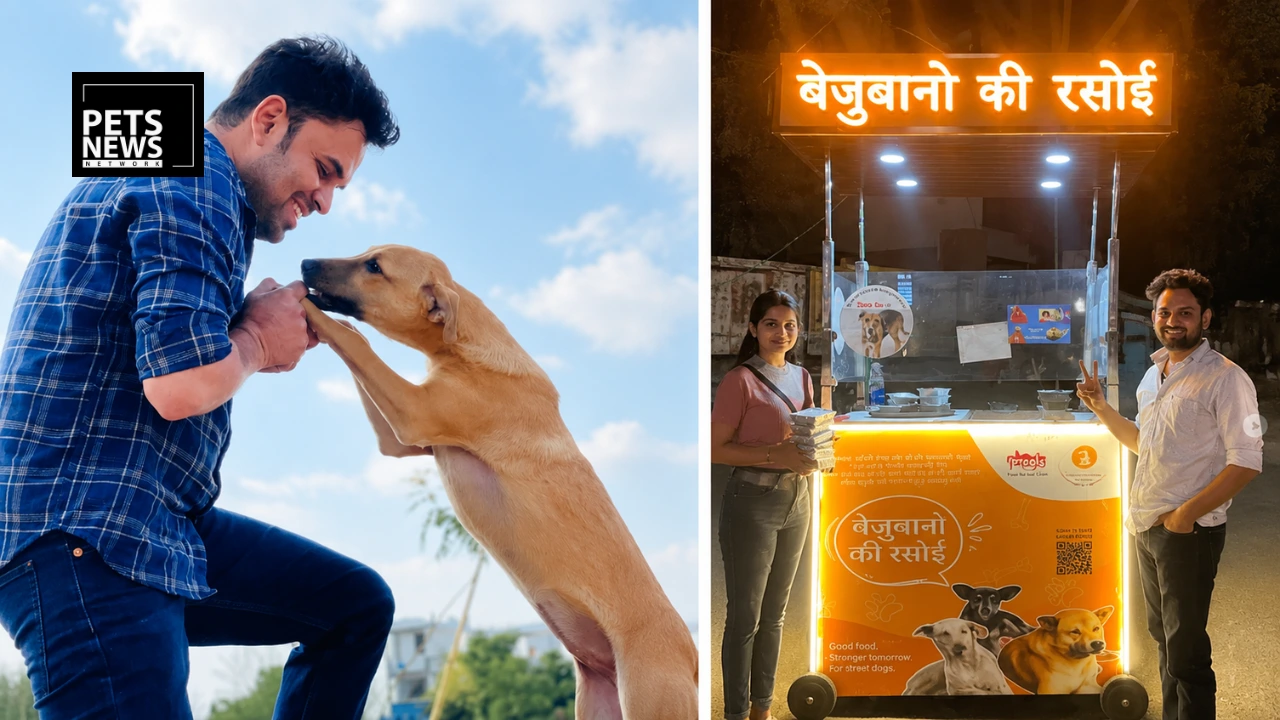 Bejubano Ki Rasoi- Jaipur Man Sells Nutritious 400gm Stray Dog Meals for Just ₹5 | Gajraj Singh Kachhawa