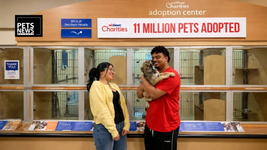 11 Million Pets and Counting: PetSmart Charities Just Launched the Biggest Adoption Week of the Year — Right When Shelters Need It Most
