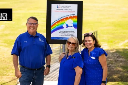 One Bridge. One City. Every Pet Who Was Family — Universal City's Rainbow Bridge Memorial Is Everything Grieving Pet Parents Needed