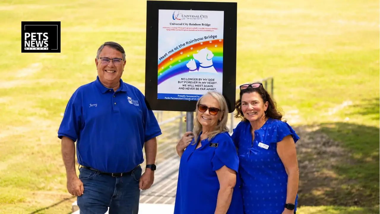 One Bridge. One City. Every Pet Who Was Family — Universal City's Rainbow Bridge Memorial Is Everything Grieving Pet Parents Needed