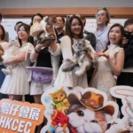Hong Kong Just Rewrote the Rules for Pet Owners — And the Rest of Asia's Pet Industry Is Taking Notes