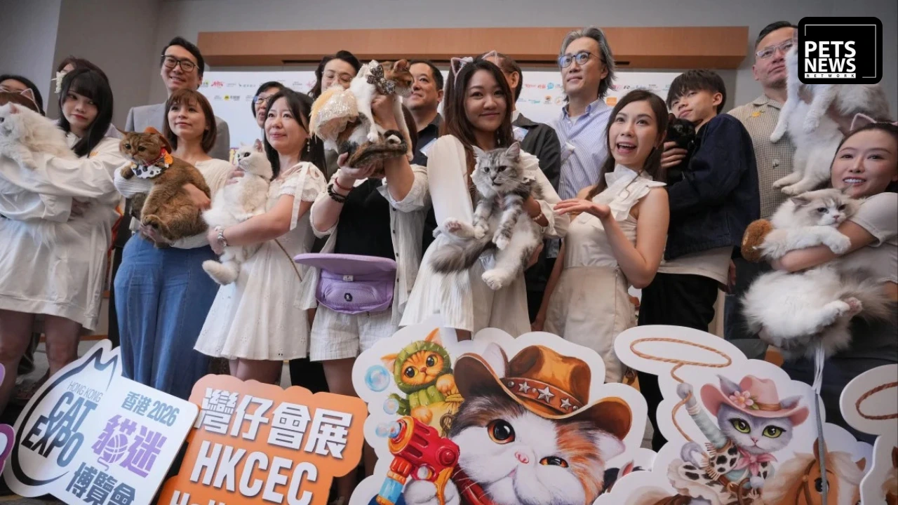 Hong Kong Just Rewrote the Rules for Pet Owners — And the Rest of Asia's Pet Industry Is Taking Notes
