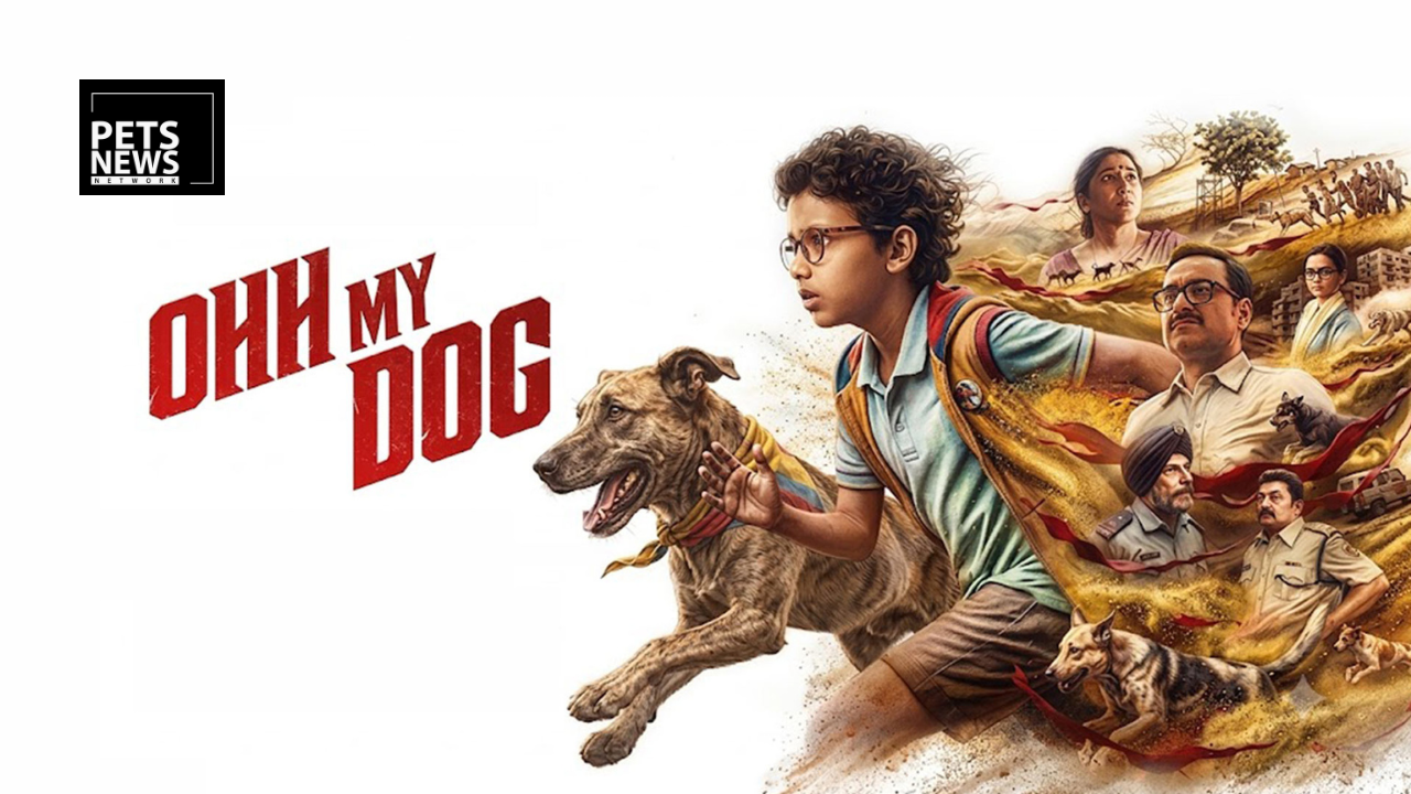 Ohh My Dog Trailer Is Out — and India Has Not Seen Anything Like This Before