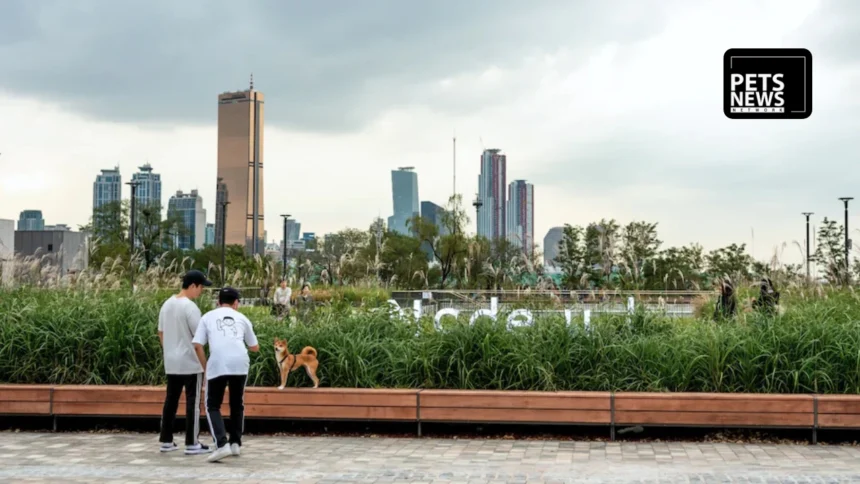 South Korea Is Rewriting What a Pet Economy Looks Like — and the Numbers Are Impossible to Ignore