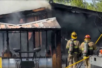 Pets rescued from Moscow house fire, 2 firefighters injured