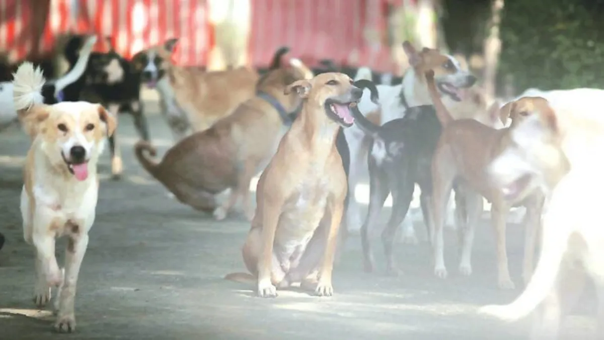 Maharashtra Plans PPP-Based Stray Dog Shelters to Strengthen Animal Welfare and Rabies Control