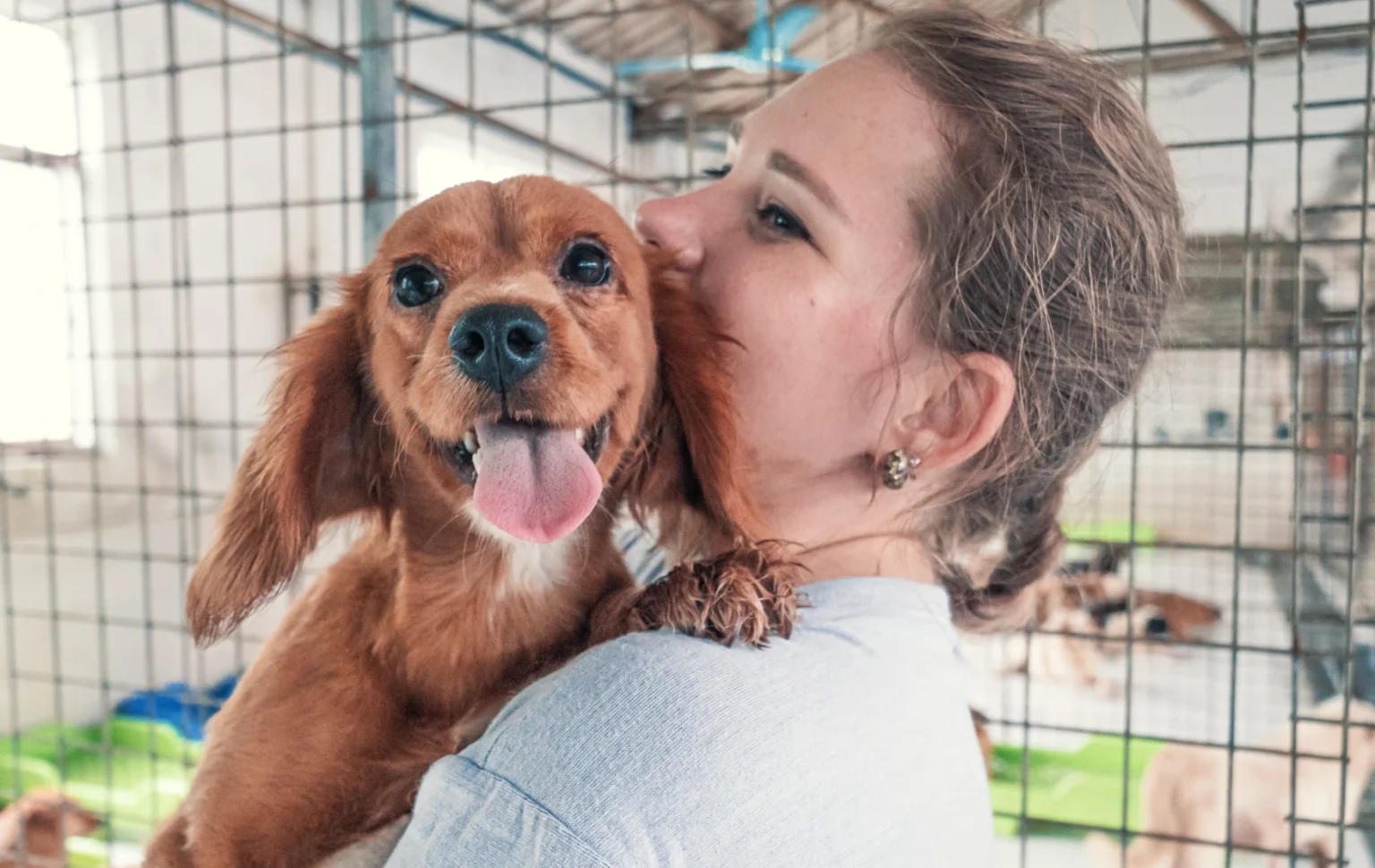 Want to Help Shelter Pets? Here's How You Can Make a Real Difference Beyond Adoption