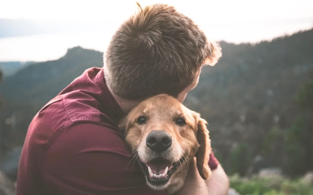 40% of Americans Would Choose Pets Over Having Children, New Study Reveals as ‘Pet Parenting’ Continues to Rise